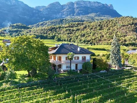 Property building, Summer