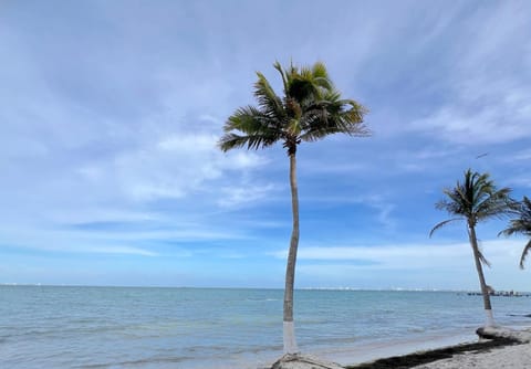 Beach, Sea view