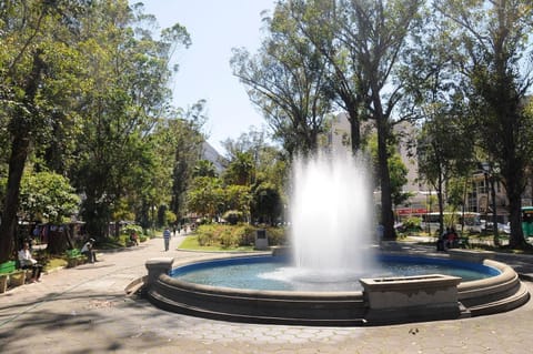 Espaço Serrano Apartment in Nova Friburgo