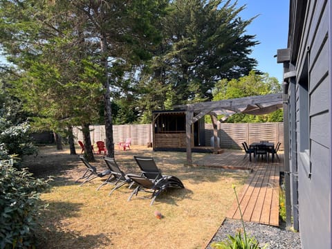 Garden, Garden view, sunbed