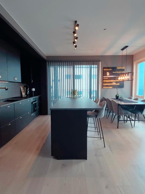 Sea and mountain View Free parking Apartment in Tromso