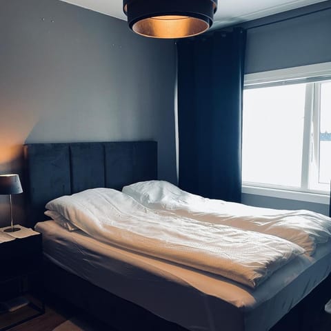 Sea and mountain View Free parking Apartment in Tromso