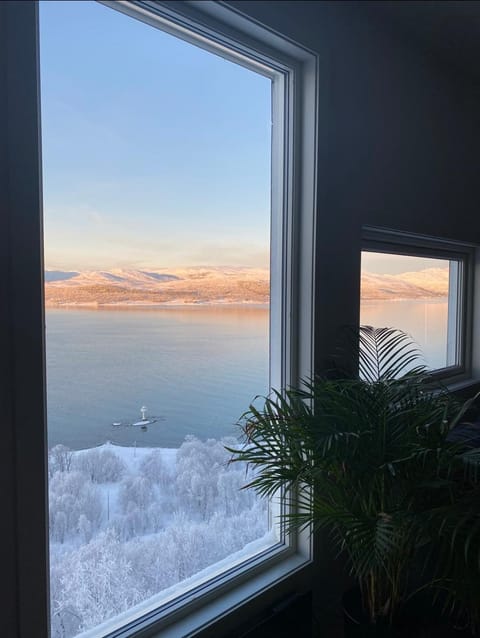 Sea and mountain View Free parking Apartment in Tromso