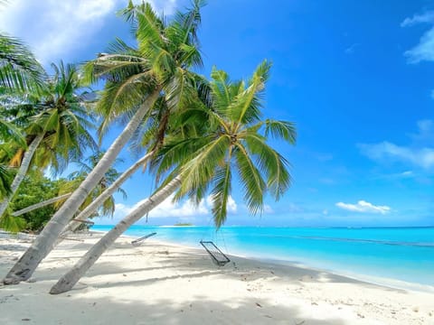 Natural landscape, Beach
