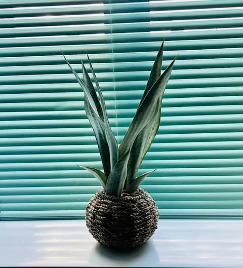 The Little Green Cosy Cottage House in Bury