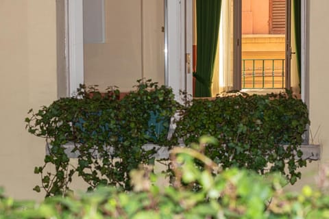 Inner courtyard view