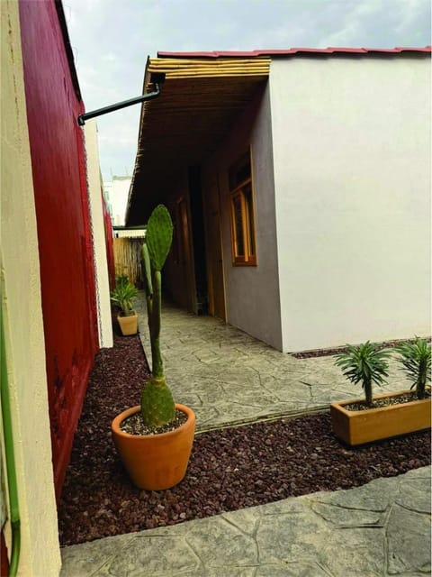 Casa Cañonero, a magic place, tepextate room Apartment in Oaxaca