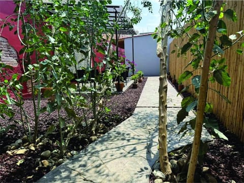 Casa Cañonero, a magic place, 4 room Apartment in Oaxaca