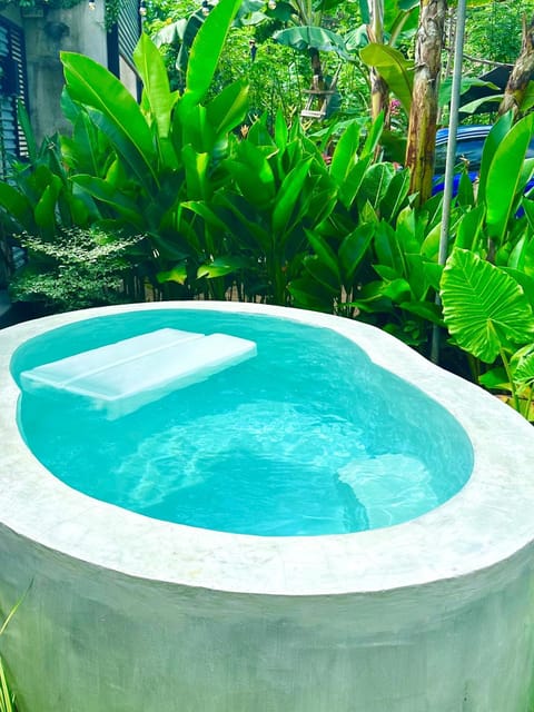 Day, Natural landscape, Garden, Garden view, Pool view, Swimming pool, Swimming pool