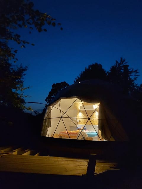 Woodland dome House in Stroud District