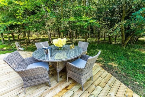 Woodland dome House in Stroud District