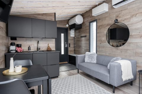 Kitchen or kitchenette, Living room, Dining area, air conditioner