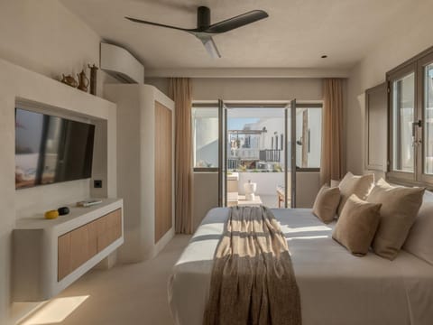 Sifneos House Apartment in Naousa