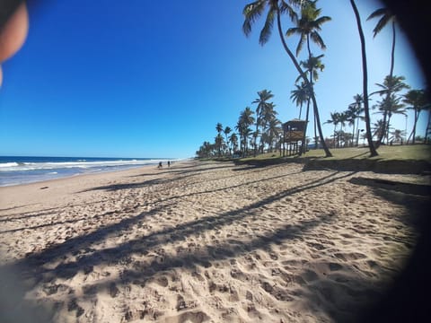 Natural landscape, Beach