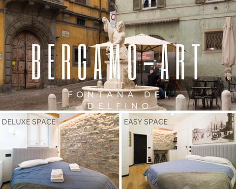 BERGAMO art - FONTANA DEL DELFINO Apartment in Bergamo