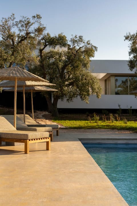 Garden, Pool view, Swimming pool, sunbed