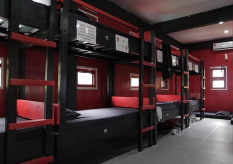 bunk bed