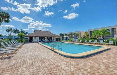 Pool view, Swimming pool, Swimming pool, sunbed