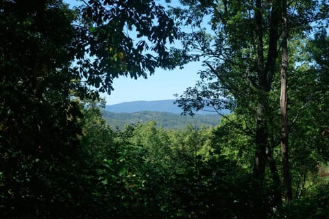 Spring, Day, Natural landscape, View (from property/room), View (from property/room), Decorative detail, Decorative detail, Pets, Pets, Mountain view, Mountain view, pet friendly, pet friendly