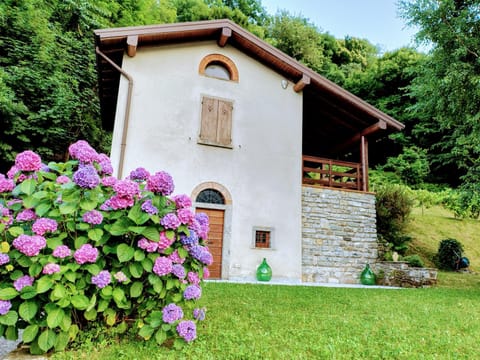 Property building, Natural landscape, Garden, Garden view, Landmark view