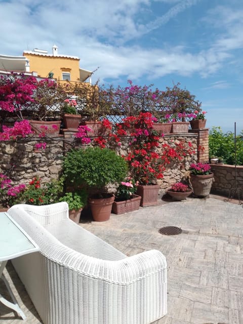 Garden, Balcony/Terrace