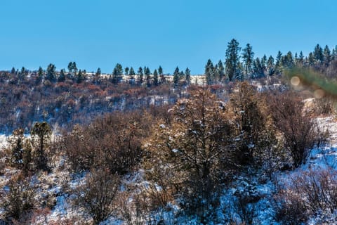 The Lodge at Brookside A Perfect Mountain Getaway House in Avon