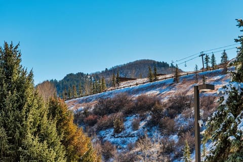The Lodge at Brookside A Perfect Mountain Getaway House in Avon