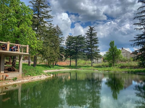 Lake view
