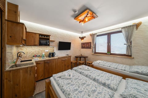 Bed, TV and multimedia, Kitchen or kitchenette, Bedroom