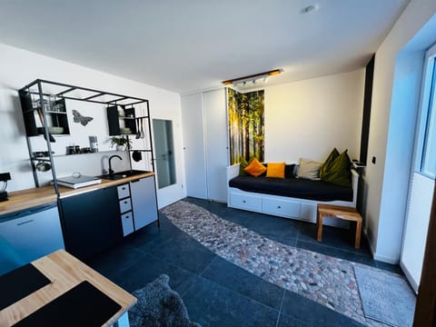 Living room, Photo of the whole room