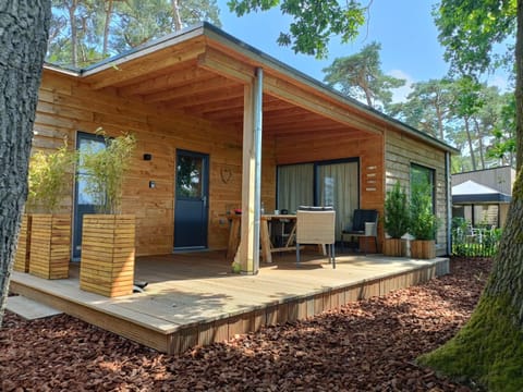 Property building, Summer