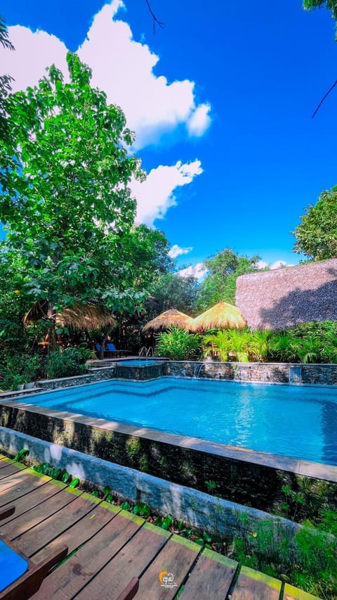 Pool view, Swimming pool