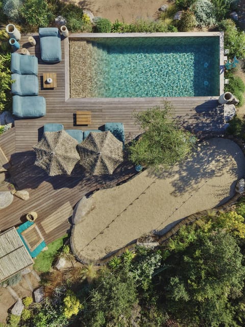 Shower, Garden, Living room, Garden view, Pool view, Swimming pool, kitchen