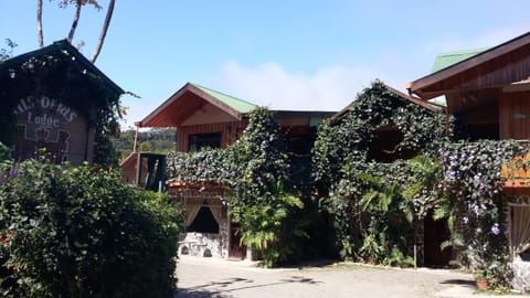 Property building, Day