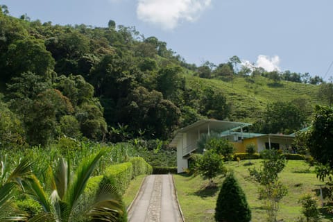 Natural landscape, Garden view, Mountain view