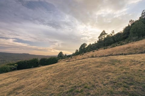 Cabaña en el Ajusco, experiencia única en la naturaleza Apartment in Mexico City