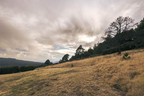 Cabaña en el Ajusco, experiencia única en la naturaleza Apartment in Mexico City