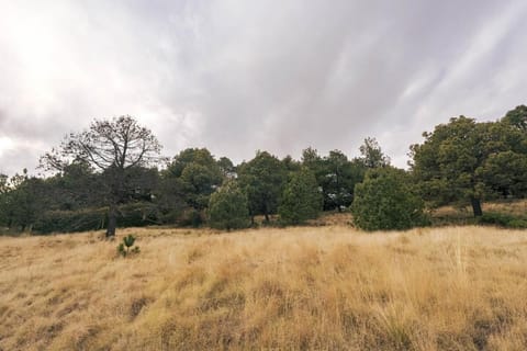 Cabaña en el Ajusco, experiencia única en la naturaleza Apartment in Mexico City