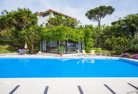 Solarium, Swimming pool, Swimming pool