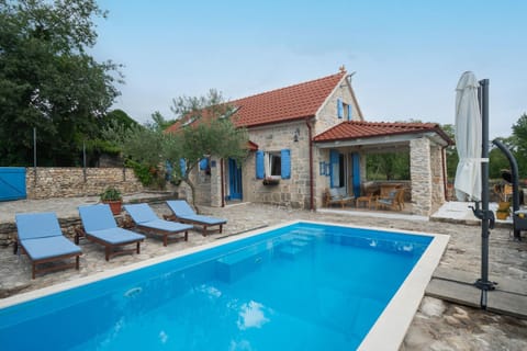 Area and facilities, Swimming pool