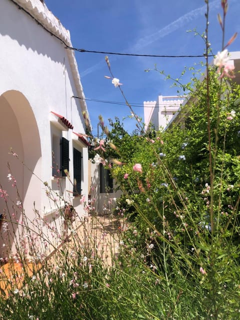 Property building, Spring, Day, Garden