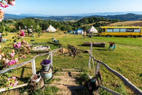 Natural landscape, Garden, Garden view, Mountain view