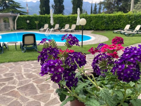 Garden view, Pool view, sunbed