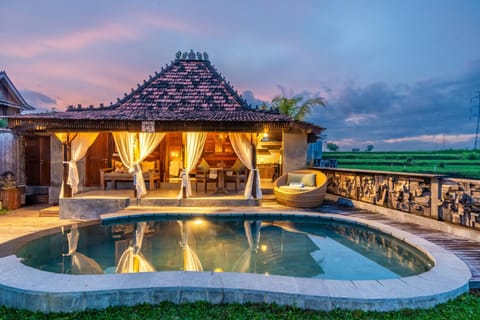 Property building, Patio, Day, Natural landscape, Garden, Garden view, Pool view, Swimming pool