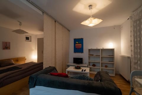 Design Studio 9 with private patio in central villa Apartment in Timiș County