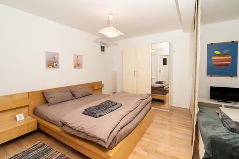 Design Studio 9 with private patio in central villa Apartment in Timiș County