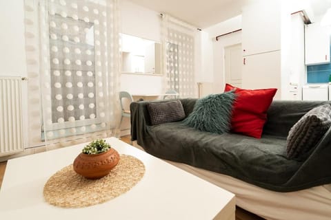 Design Studio 9 with private patio in central villa Apartment in Timiș County