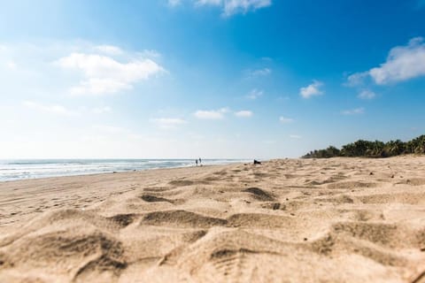 Alberca, Playa Cercana & Club de Playa opcional -Departamento E13D301 Apartment in Acapulco