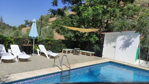 Property building, Living room, Swimming pool