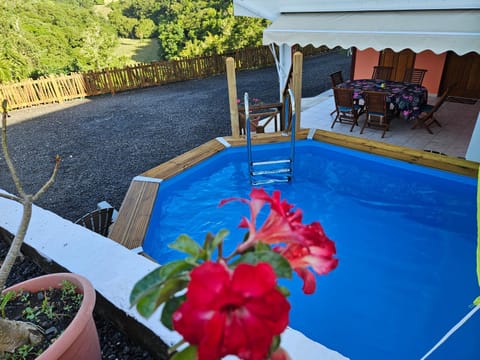 Patio, Pool view, Swimming pool, sunbed